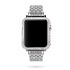 Aluminum Alloy Protective Frame Cover Case for Apple watch series 1 2 3 platinum