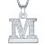 Callancity 2in1 Zircon Alphabet Letter A-Z Necklace Pendant Watch Connector Adapter Stainless Steel Box Chain Compatible for Watch Series 5/4/3/2/1 